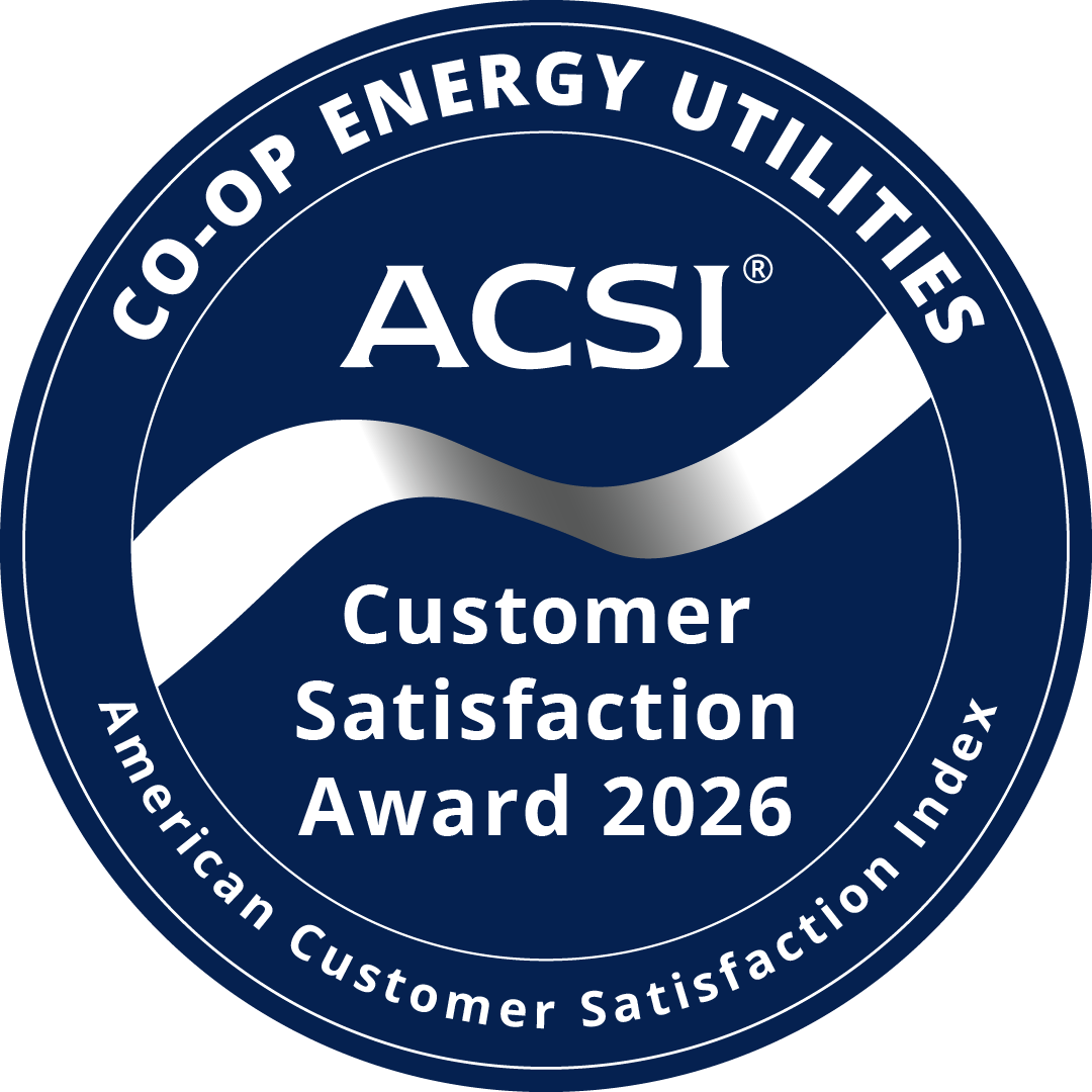 acsi logo 2026